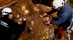Descoperire revoluționară în Spania: Fosile umane de peste 1 mil. de ani ale unei specii necunoscute
