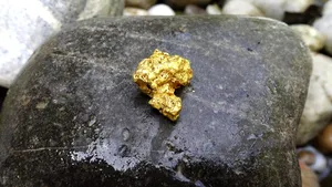 Cea mai bogată zonă în aur de pe planetă. Descoperirea care stârnește controverse la nivel mondial