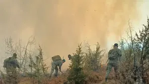 Mai puţine incendii de vegetaţie în 2025. Scădere de 3,2% faţă de anul trecut