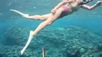 Alertă în Ibiza: Invazia șerpilor îngrozește turiștii și amenință ecosistemul insulei
