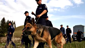 Rămăşiţe umane, găsite în spatele unei ferme dintr-o localitate timişeană