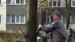 Tăieri ilegale de copaci în Parcul IOR, sub ochii polițiștilor locali de mediu