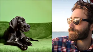 Descoperire întâmplătoare: Blana unui câine, mai curată decât barba unui bărbat! Ce spun oamenii de ştiinţă