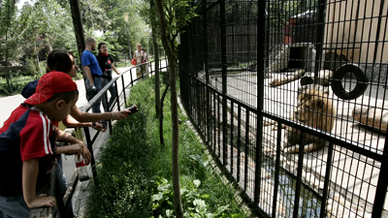 Grădina Zoologică din Bucureşti va fi păzită de Anaconda Security