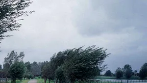 Cod galben de vânt în şapte judeţe din România