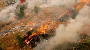 Caniculă şi risc de incendii în Australia - VIDEO