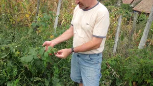 Povestea saşilor care s-au întors în România: Am fugit de UE. În 2007, am plâns de parcă ne murise mama