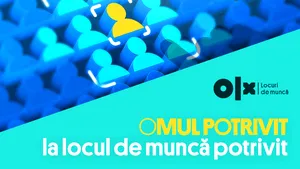 Siguranța locului de muncă în 2025 - românii se tem de instabilitate, dar ezită să facă schimbări majore