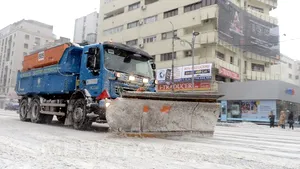 Oprea: Patru firme de deszăpezire, din Dolj şi Dâmboviţa, sancţionate cu 7.140 de lei