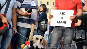 Aproape 500 de persoane protestează la Cluj, cerând demisia premierului Victor Ponta - GALERIE FOTO