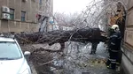 Pompierii din Giurgiu au intervenit după furtună pentru degajarea copacilor și cablurilor avariate