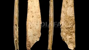 Un instrument inventat de omul de Neanderthal, în urmă cu 50.000 de ani, folosit şi în prezent