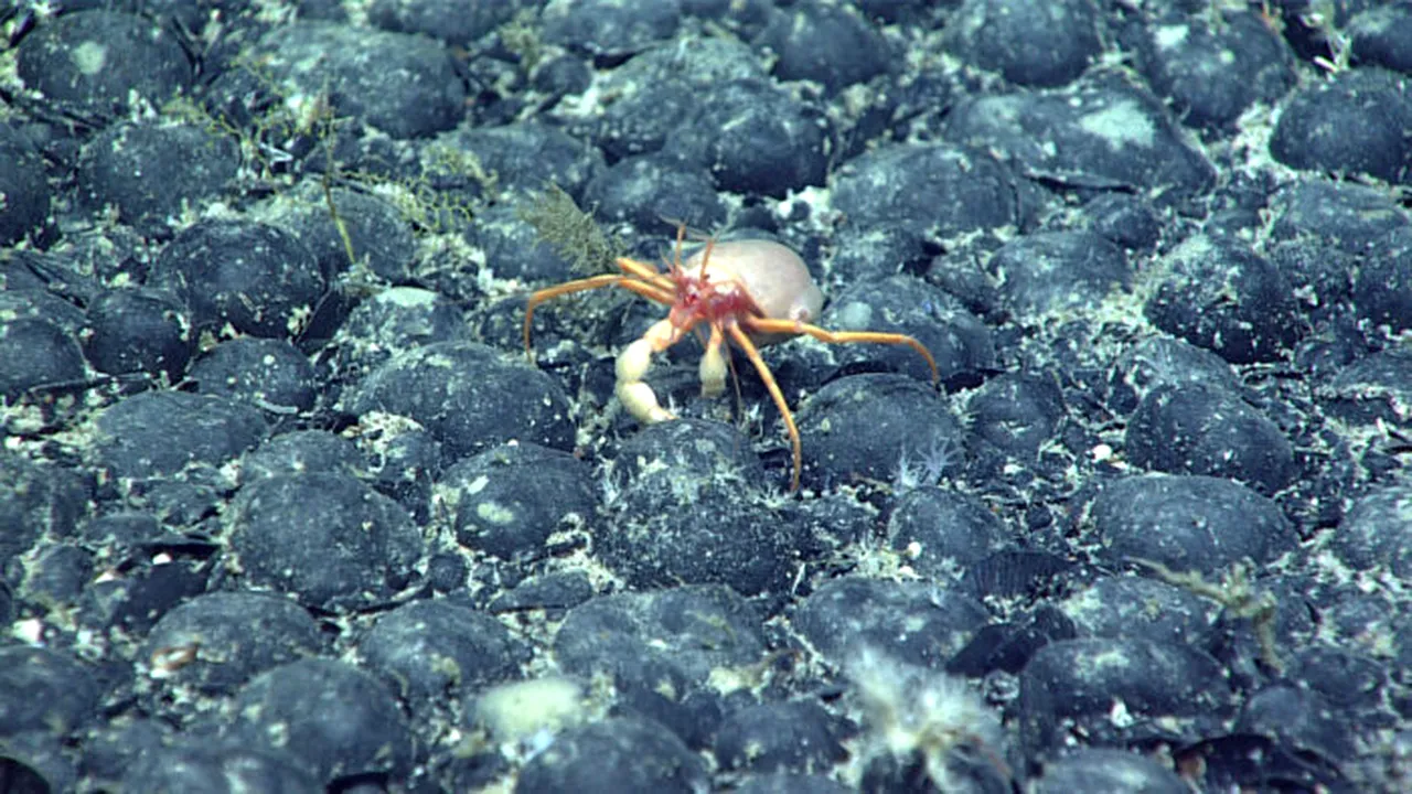 Oamenii de ştiinţă sunt uimiţi de „oxigenul întunecat” din adâncurile oceanului Pacific