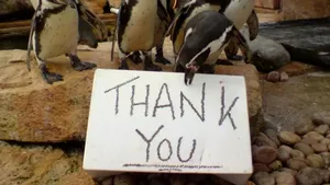 O celebră grădină zoologică se închide. Ce se va întâmpla cu animalele