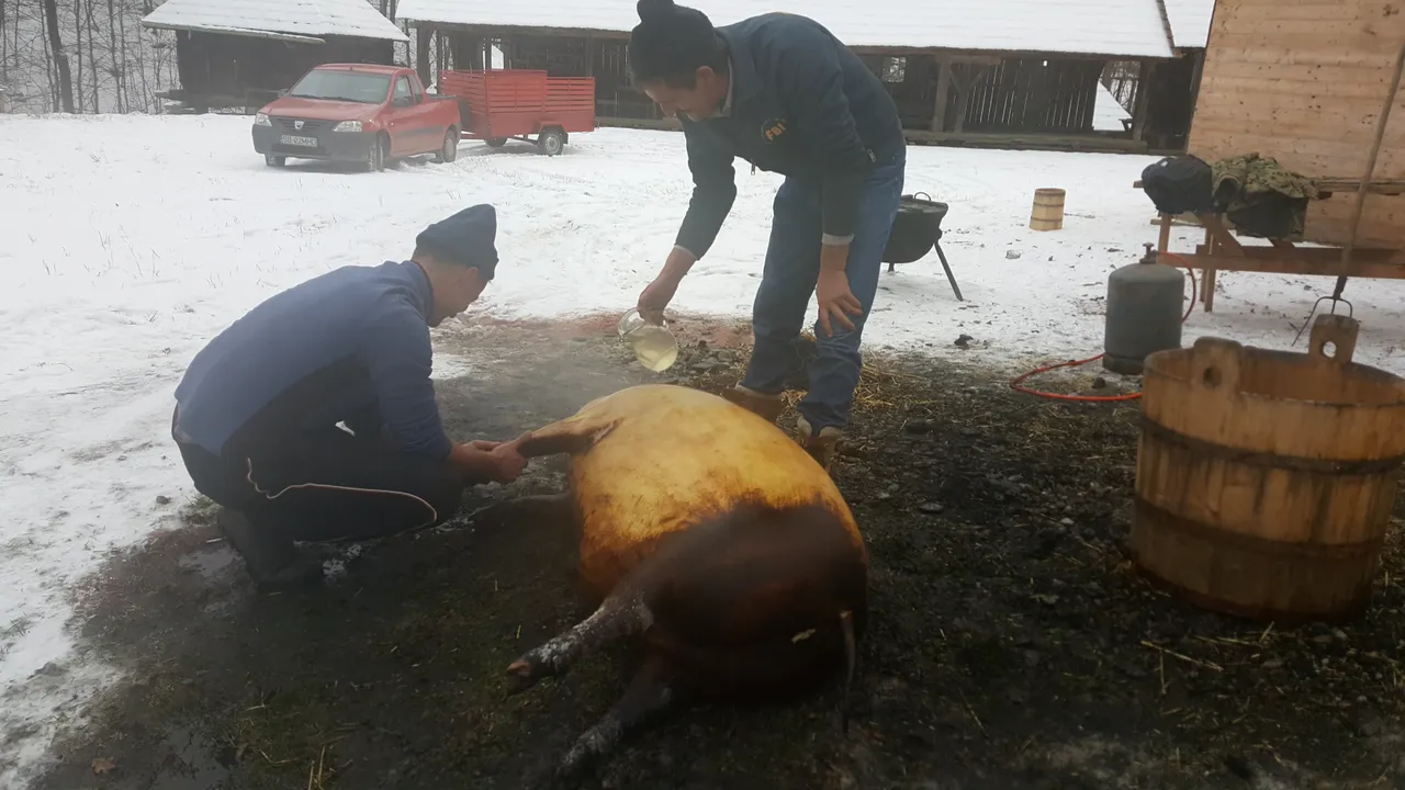 Pesta porcină nu îi sperie pe locuitorii unui judeţ din Transilvania. Aceştia trimit în continuare produse tradiţionale rudelor din străinătate