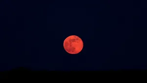 Superluna roz. Fenomenul spectaculos care va fi vizibil pe cer, în noaptea de 7 spre 8 aprilie