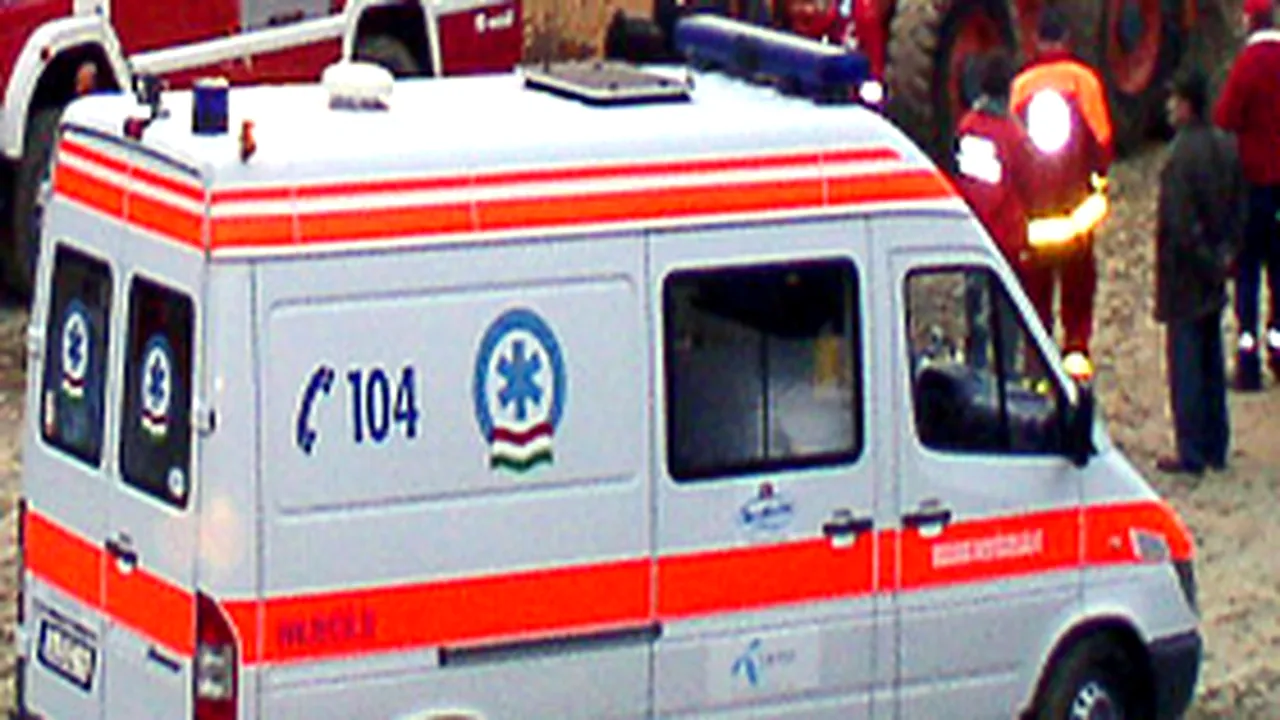 Romanian Minibus Plunges Into Ditch In W Hungary