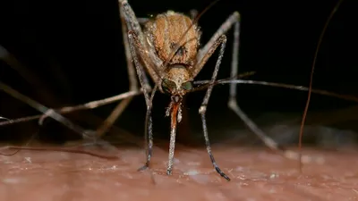 SĂNĂTATE Descoperirea care ar putea salva milioane de oameni. Tratamentul unei boli mortale, simplificat