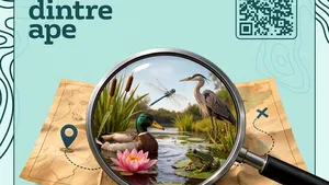 Veolia România continuă Olimpiada de Biodiversitate „Natura dintre Ape”, la nivel național