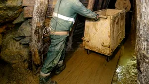 Chiţoiu asigură că noile redevenţe la resurse minerale vor fi aplicate numai în viitoarele acorduri