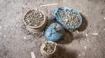 Dulapul unei femei din Pompei, găsit după aproape 2.000 de ani: farduri, bijuterii și 38 de monede