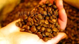 Ce mai reclamă românii la Protecţia Consumatorului: Boabe de cafea otrăvite sau distanţa prea mare de la hotel la plajă