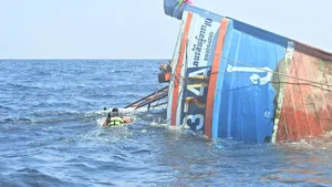 Umanitate în situaţii-limită. Patru pisici abandonate pe o navă în flăcări, aproape scufundată, au fost salvate de marinari