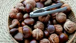 Ce spune știința despre consumul de castane toamna: fructul oleaginos fără calorii
