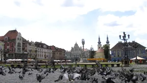 Timişoara ar putea fi capitala culturală europeană în 2021‎