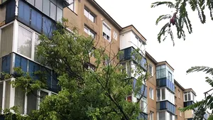 IGSU: Nouă localităţi din şapte judeţe şi Bucureşti, afectate de furtuni în ultimele 24 de ore. Copaci căzuţi peste un restaurant, o  gradiniţă sau cabluri electrice