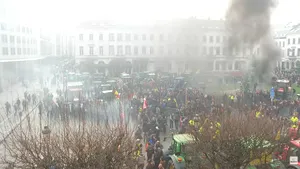 Locuitorii din Bruxelles profită de proteste pentru a colecta cartofii aruncați de fermieri