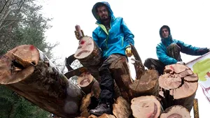 VIDEO Ministerul Apelor şi Pădurilor, despre manifestaţiile activiştilor Agent Green: Transportul oprit de activişti, legal. Protestele fără o minimă pregătire produc confuzie