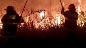 Delta Dunării, în flăcări. Aproximativ 400 hectare de teren din Rezervaţia Biosferei Delta Dunării au ars noaptea trecută