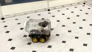 Experiment INEDIT cu şobolani care sunt antrenaţi să conducă mici maşini. Concluzia amuzantă: Activitatea i-a relaxat- VIDEO