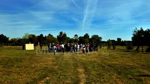 Senatul a votat împotriva trecerii Insulei Plumbuita în administrarea CL al Sectorului 2 