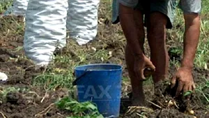 Portugalia: 32 de muncitori români au fost descoperiţi 