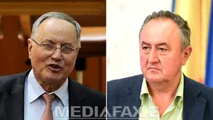 Toader şi Rădulescu, liderii grupurilor parlamentare ale PDL, au demisionat din funcţii