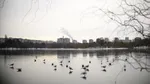 De la caniculă la ninsoare în câteva zile. ANM explică ce urmează