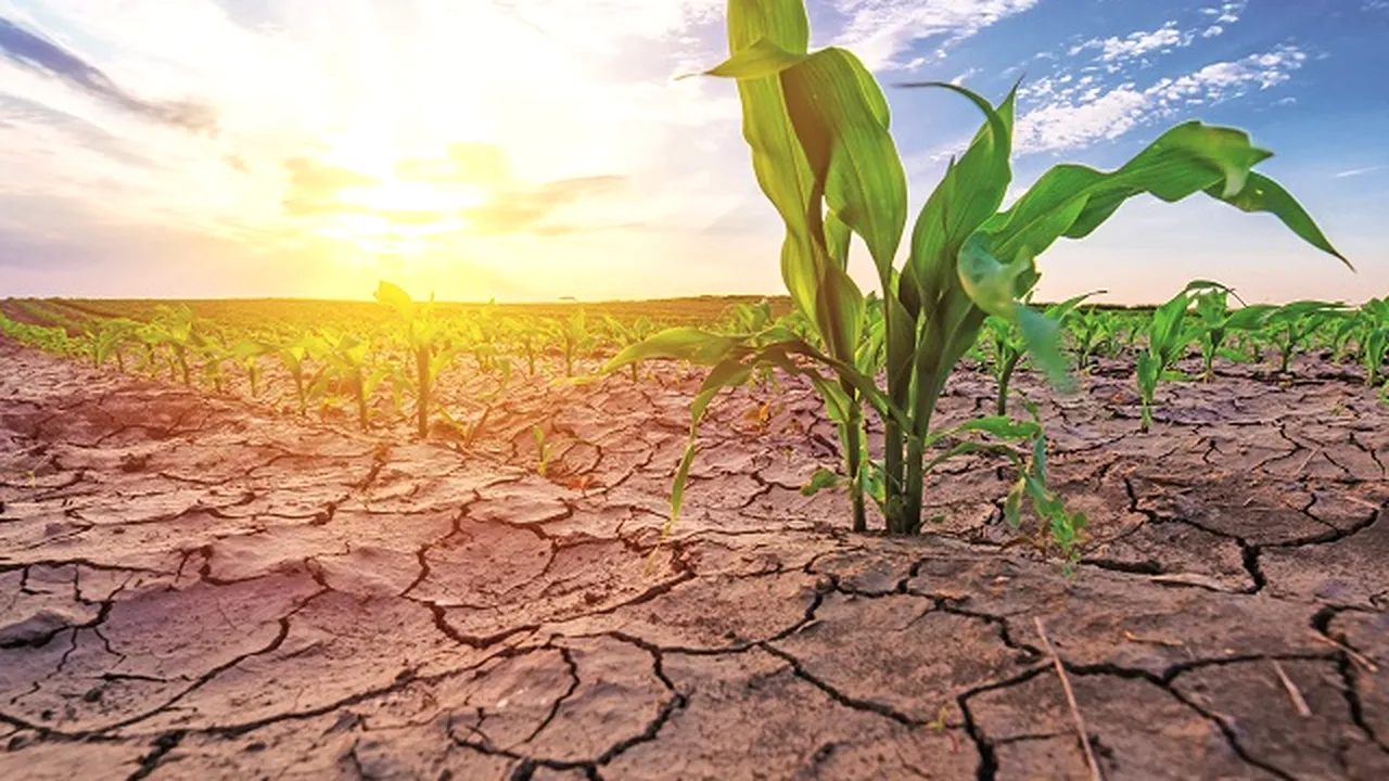 Ianuarie 2025 doboară recorduri de temperatură. Încălzirea globală se accelerează?