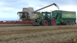 România a exportat 86% din targetul de export de grâu până la acest moment