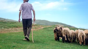„Românii și marocanii se vor ocupa de asta!” Meseria pe care tinerii spanioli nu o mai vor