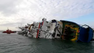 Concurenţă mare. Mai multe firme, româneşti şi străine, sunt interesate de epava cu oi din Portul Midia