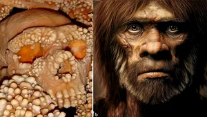 Descoperirea unui schelet de Neanderthal schimbă ceea ce ştim despre evoluţia umană