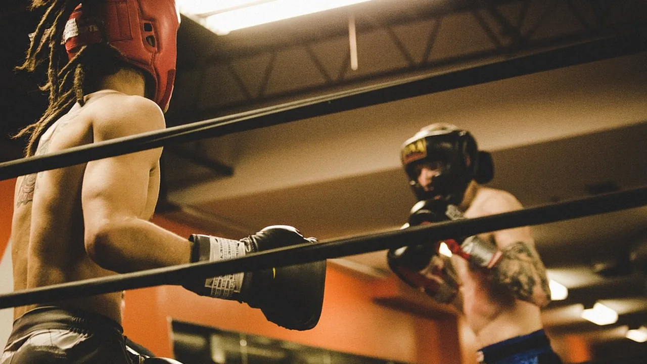 România a câştigat opt medalii la Campionatele Europene de box la juniori, de la Galaţi