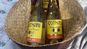 Cotnari a intrat în Cartea Recordurilor. Compania deţine trei recorduri mondiale