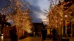 Studiu: Luminile orașelor prelungesc cu trei săptămâni pe an sezonul de creștere al plantelor