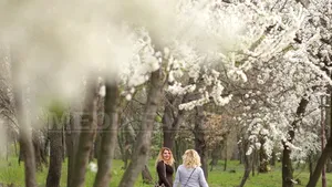 VREMEA se va ameliora sub aspectul precipitaţiilor. Prognoza meteo pentru joi şi vineri