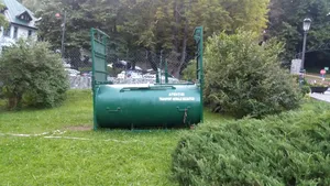 Capcane montate în Sinaia, pentru prinderea porcilor mistreţi care terorizează turiştii şi localnicii. Primar: Apar zilnic în oraş, câte opt deodată, în căutare de hrană