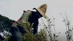 SUA acuză Columbia că nu a cooperat în războiul împotriva drogurilor