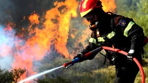 Incendiu de vegetaţie în Munţii Şureanu. Patru hectare de teren în flăcări